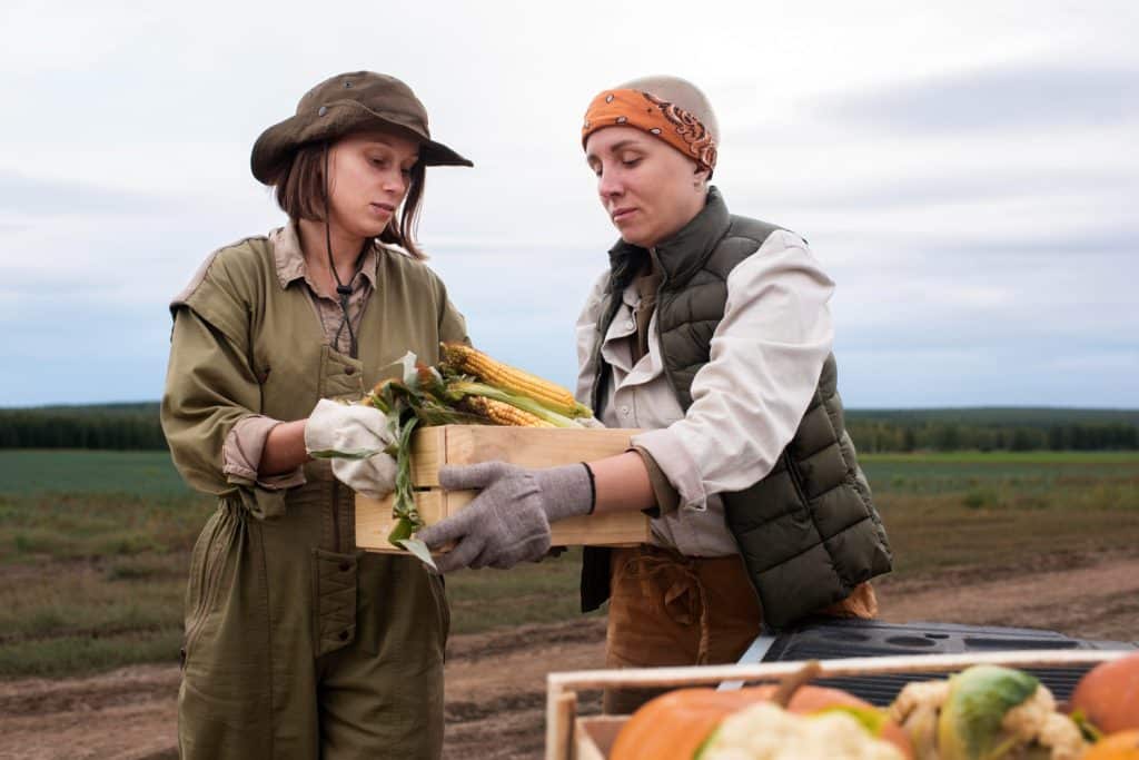 How changes in federal benefits policies affect rural workers
